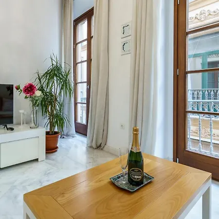 Apartment Malagasuite Center Malaga